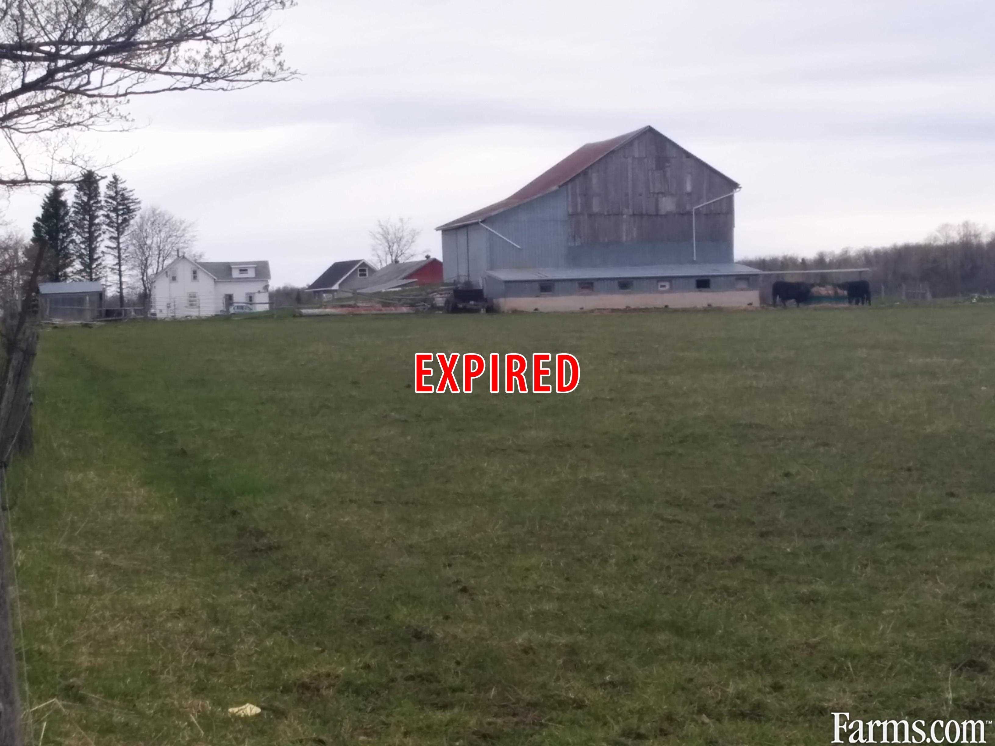 Hobby Farm for Sale, Dundalk, Ontario