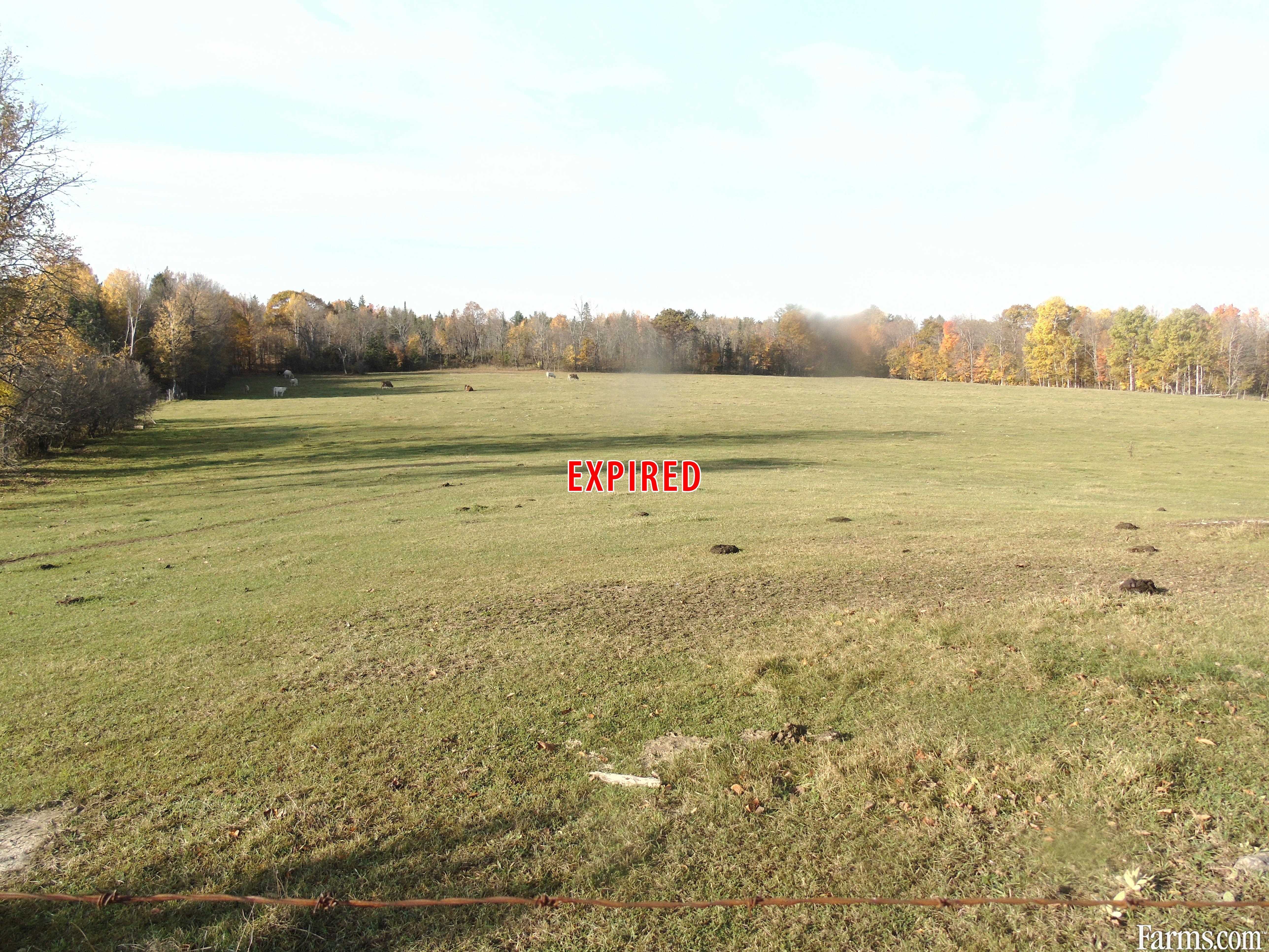 Hobby Farm for Sale, Haley Station, Ontario