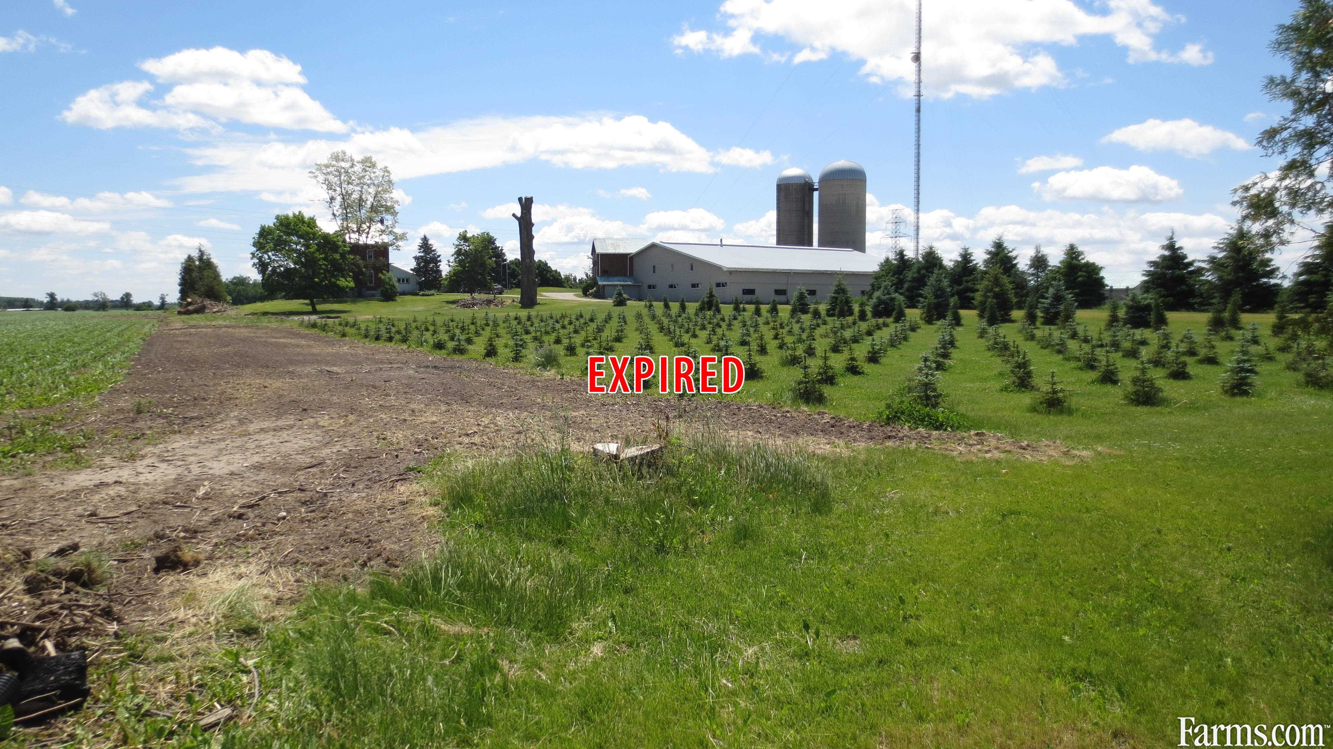 Cash Crop for Sale, Ariss, Ontario
