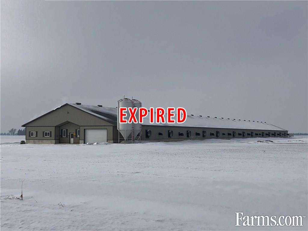 Poultry Farm for Sale, Huron East, Ontario