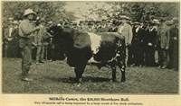 An Enthusiastic Crowd Inspects Millhills Comet