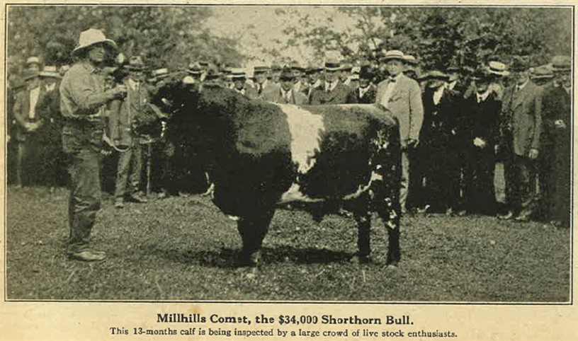 An Enthusiastic Crowd Inspects Millhills Comet