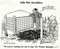 Ada the Ayrshire
