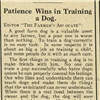 PATIENCE WINS IN TRAINING A DOG image 1 