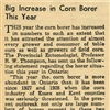 Big Increase in Corn Borer This Year image 2 